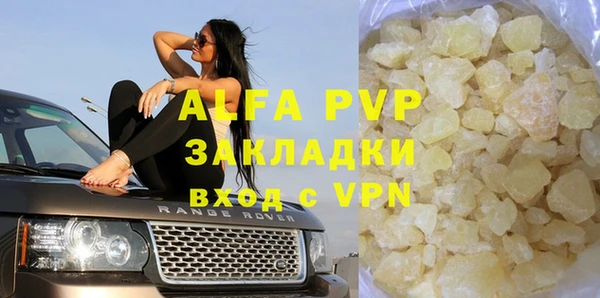 прущие грибы Осинники